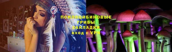 стаф Абинск