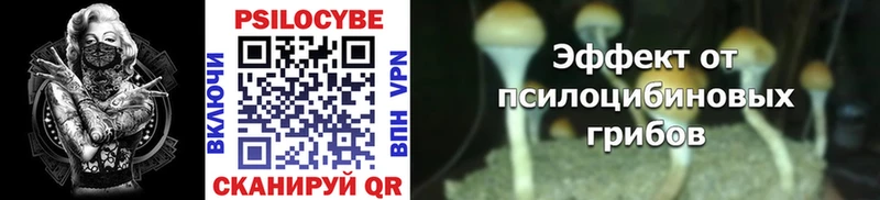 Псилоцибиновые грибы Psilocybine cubensis  хочу   Солигалич 